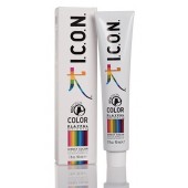 Playful Brights - Color Directo