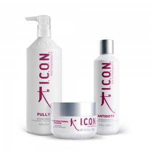 Fully Litro + Antidote + Infusion - PACK ANTIOXIDANTE