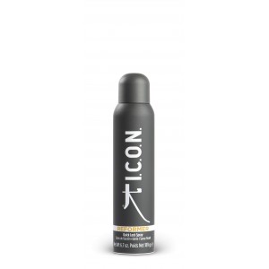 Reformer - Spray de Fijación Rápida