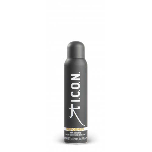 Reformer - Spray de Fijación Rápida