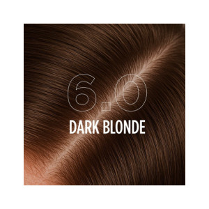 6.0 - DARK BLONDE