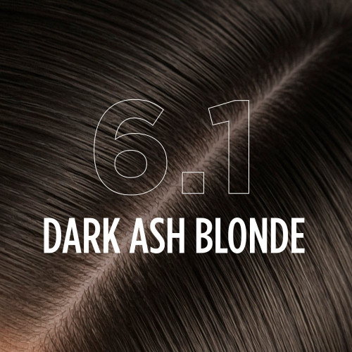 6.1 - DARK ASH BLONDE