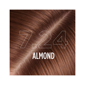 7.24 - ALMOND