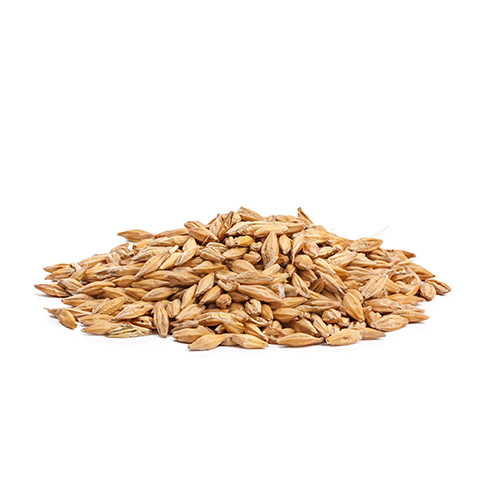 Barley-seed-flour-.jpeg