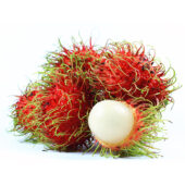 Nephelium-Seed-170x170.jpeg